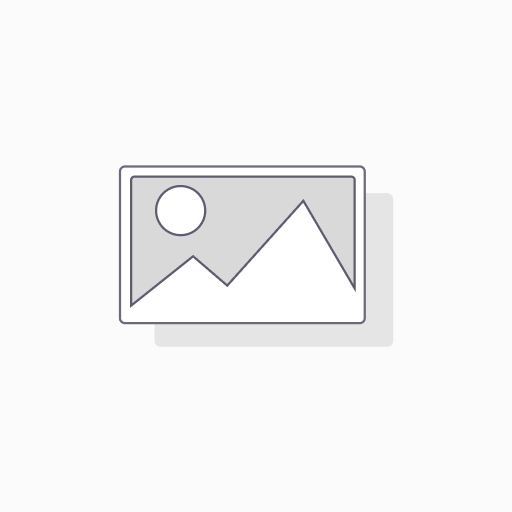 PINCE A SERTIR RAIL ET MONTANT | SEMIN